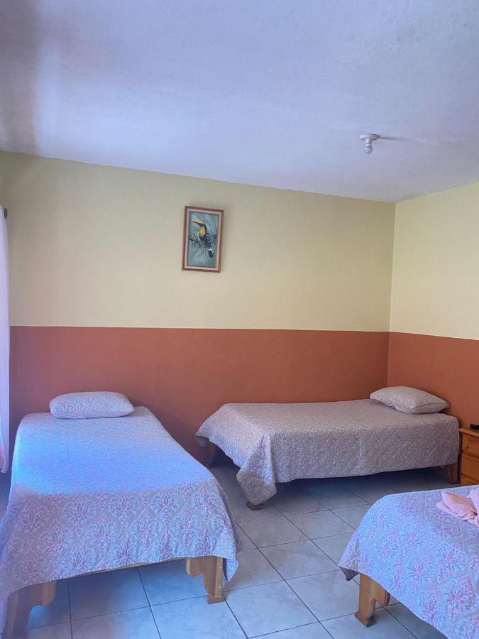 Hotel La Puesta Del Sol B&B Monteverde Εξωτερικό φωτογραφία