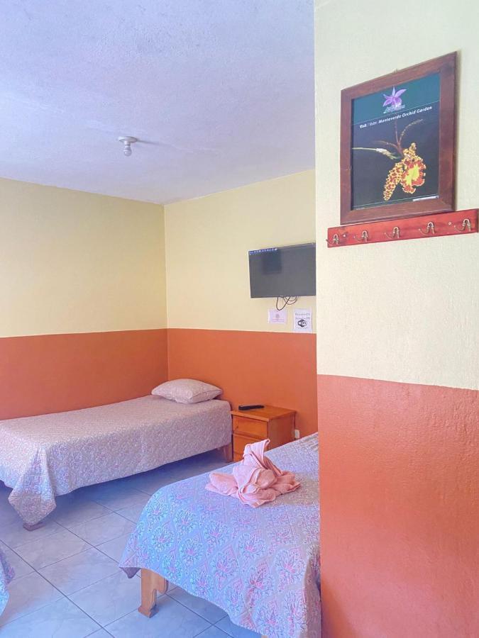 Hotel La Puesta Del Sol B&B Monteverde Εξωτερικό φωτογραφία